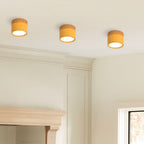 Nowoczesna lampa sufitowa LED cylindryczna typu plafon