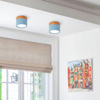 Nowoczesna lampa sufitowa LED cylindryczna typu plafon