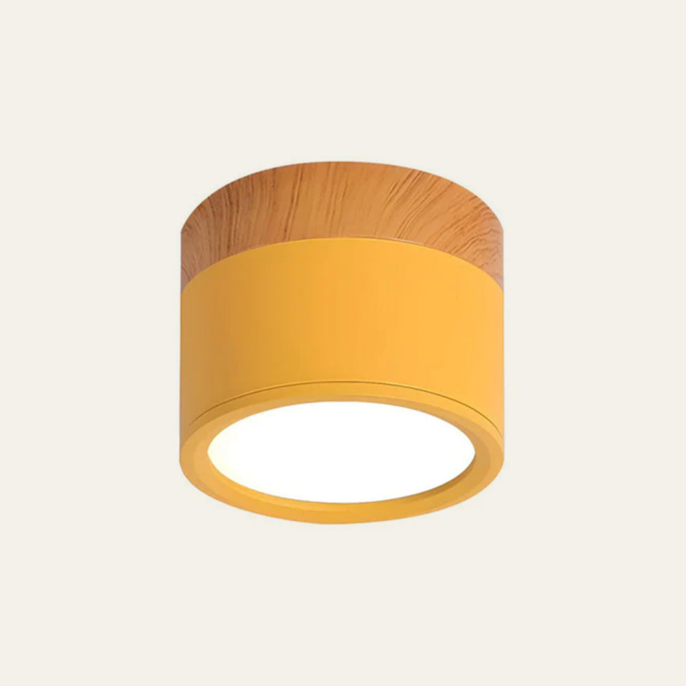 Nowoczesna lampa sufitowa LED cylindryczna typu plafon