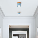 Nowoczesna lampa sufitowa LED cylindryczna typu plafon