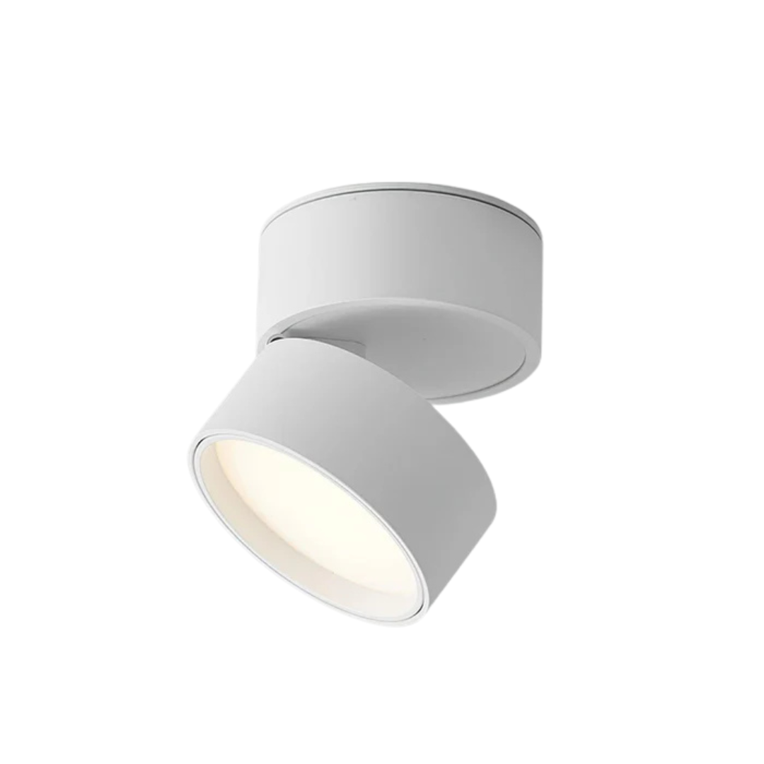 Regulowana kompaktowa lampa sufitowa LED z jednym punktem świetlnym