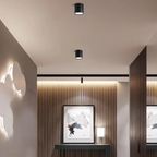 Regulowana kompaktowa lampa sufitowa LED z jednym punktem świetlnym