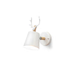 Kinkiet Antler