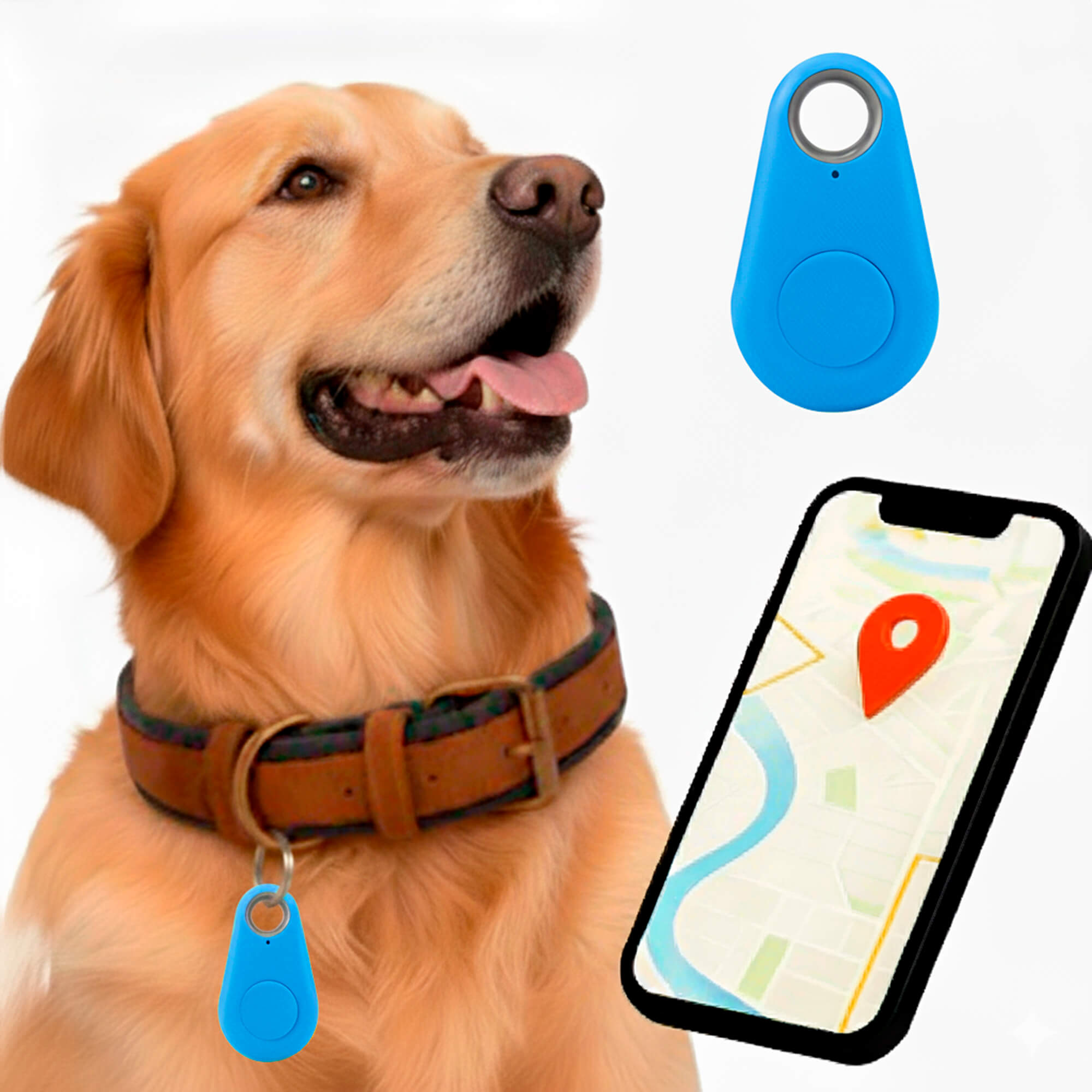 Wodoodporny lokalizator GPS dla zwierząt domowych działający w czasie rzeczywistym