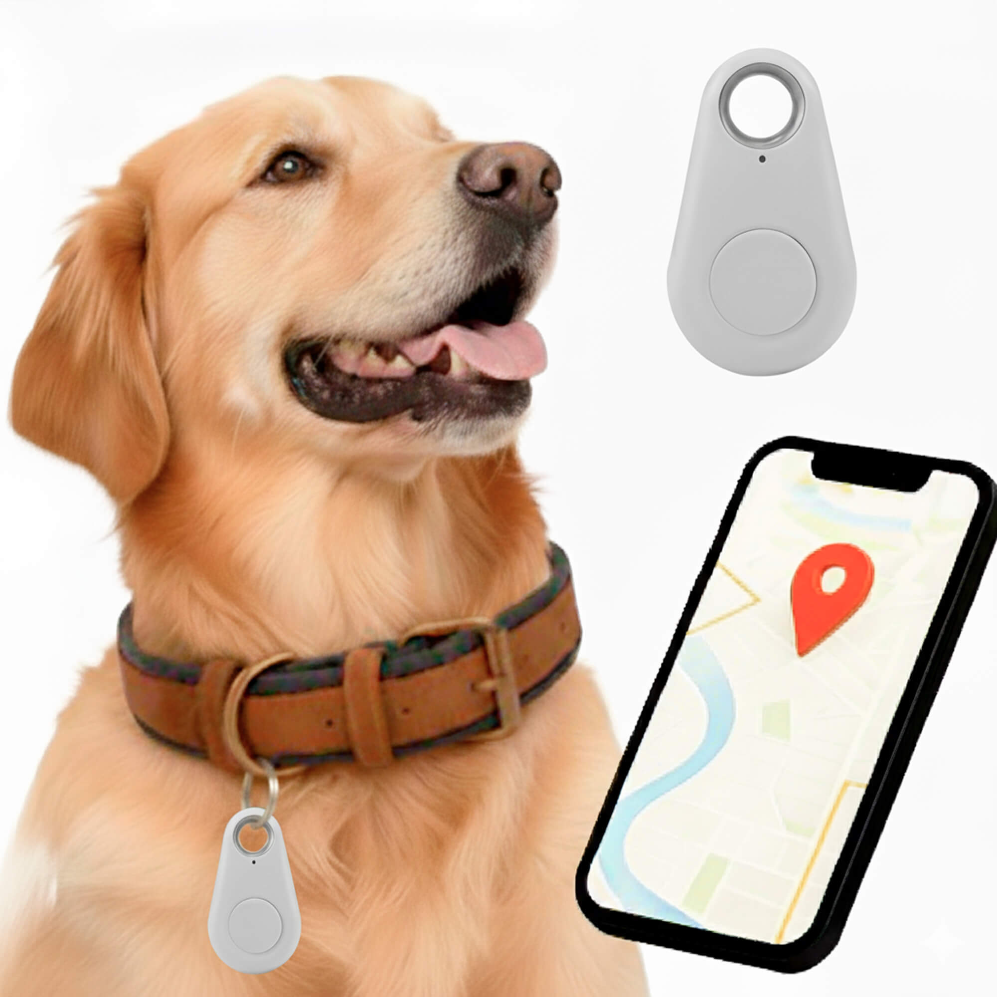 Wodoodporny lokalizator GPS dla zwierząt domowych działający w czasie rzeczywistym