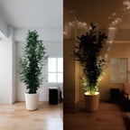 Bezprzewodowy reflektor LED – idealny do nowoczesnego domu