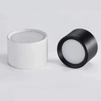 Regulowana lampa sufitowa LED punktowa Nowoczesny natynkowy downlight